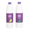 Bio Keratine Family shampoo aloe vera and cucumber extract. - Image 2